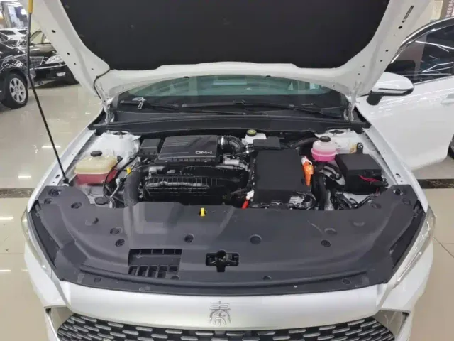 BYD Qin PLUS — Фото автомобиля 19