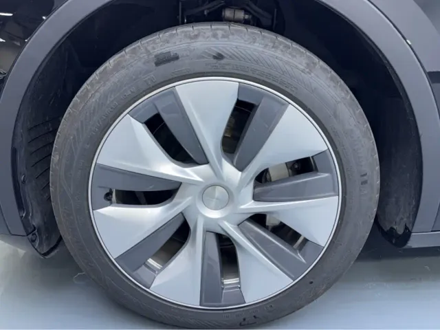 Tesla Model Y — Фото автомобиля 17