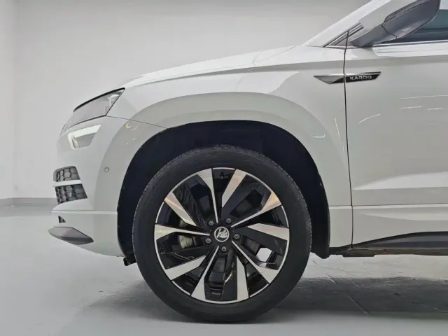 Skoda Karoq — Фото автомобиля 7