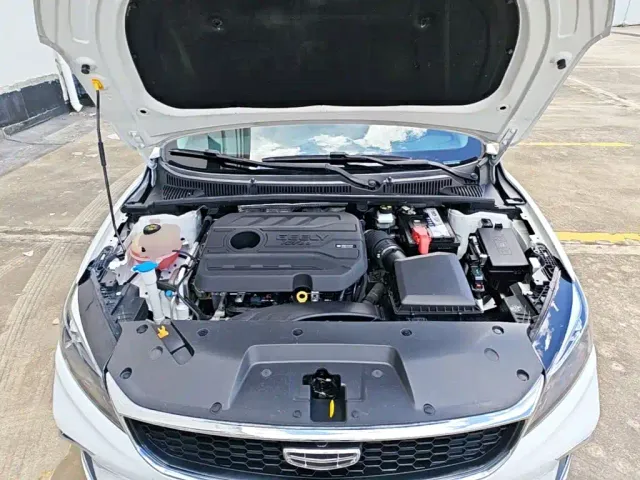 Geely Binrui — Фото автомобиля 19