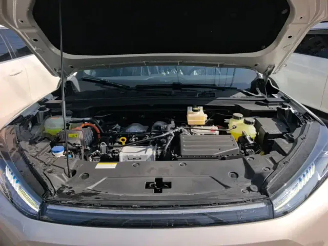 Dongfeng Fengshen L7 — Фото автомобиля 19