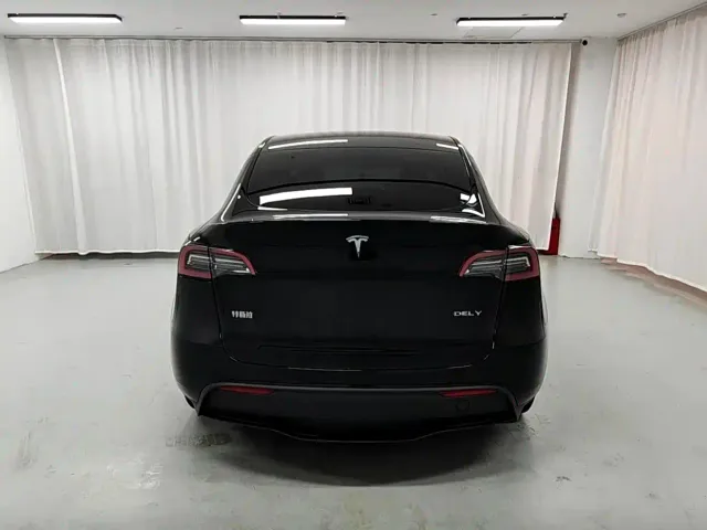 Tesla Model Y — Фото автомобиля 5
