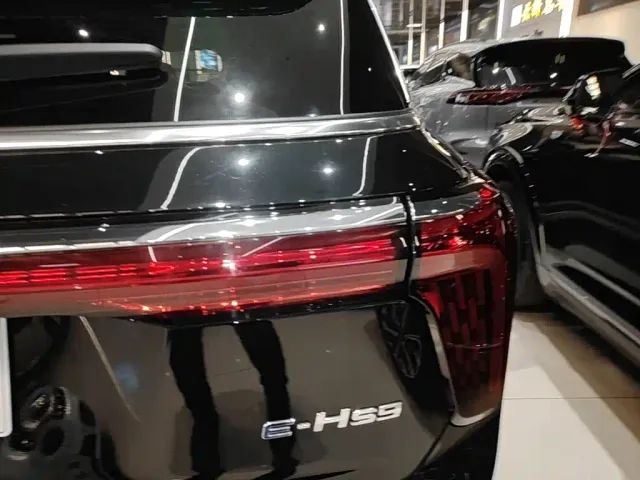 Hongqi E-HS9 — Фото автомобиля 7