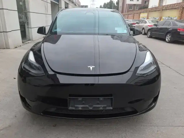 Tesla Model Y — Фото автомобиля 2