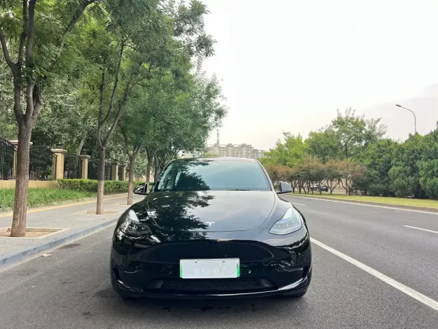 Tesla Model Y — Фото автомобиля 6