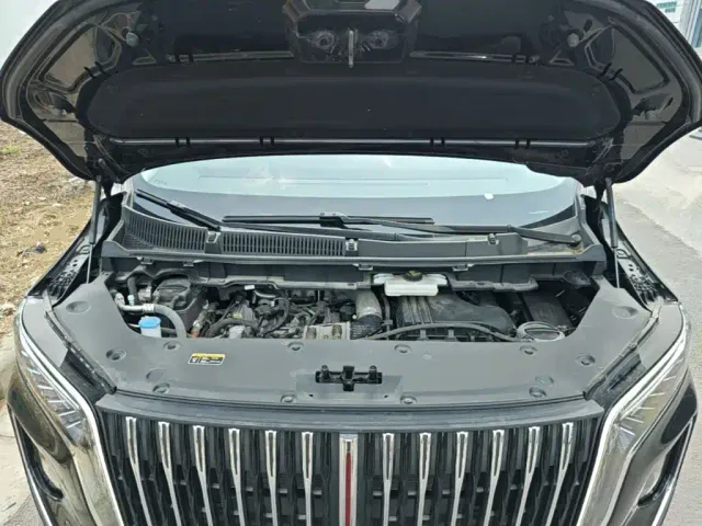 Hongqi HQ9 PHEV — Фото автомобиля 19