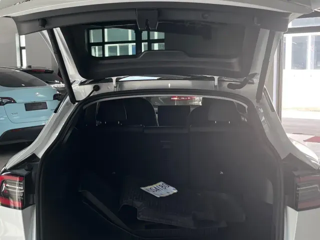 Tesla Model Y — Фото автомобиля 11