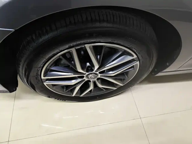 BYD Qin PLUS — Фото автомобиля 22