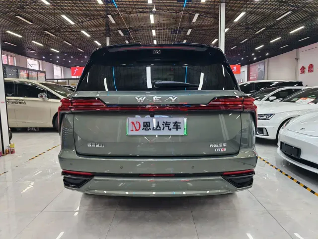 Wey Lanshan — Фото автомобиля 8