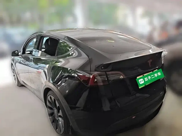 Tesla Model Y — Фото автомобиля 22