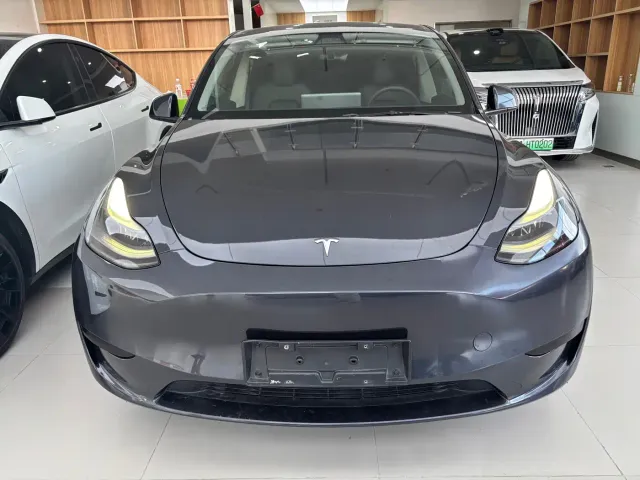 Tesla Model Y — Фото автомобиля 2