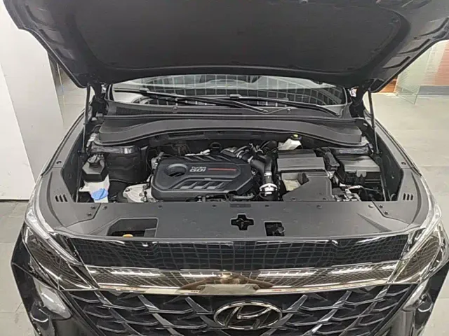 Hyundai Santa Fe — Фото автомобиля 19