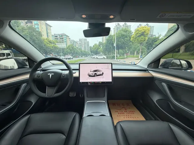 Tesla Model 3 — Фото автомобиля 6