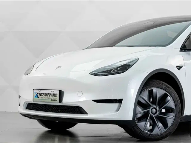 Tesla Model Y — Фото автомобиля 3