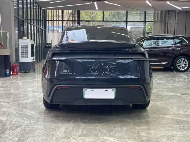 Tesla Model Y — Фото автомобиля 6