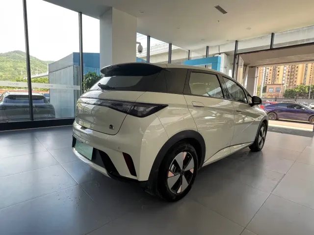 BYD Dolphin — Фото автомобиля 16