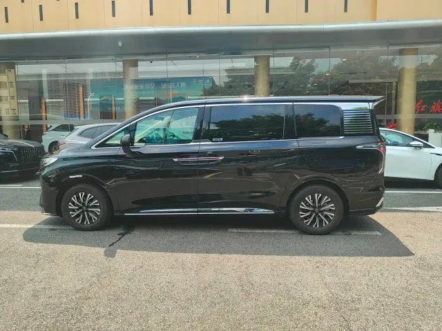 Hongqi HQ9 PHEV — Фото автомобиля 8