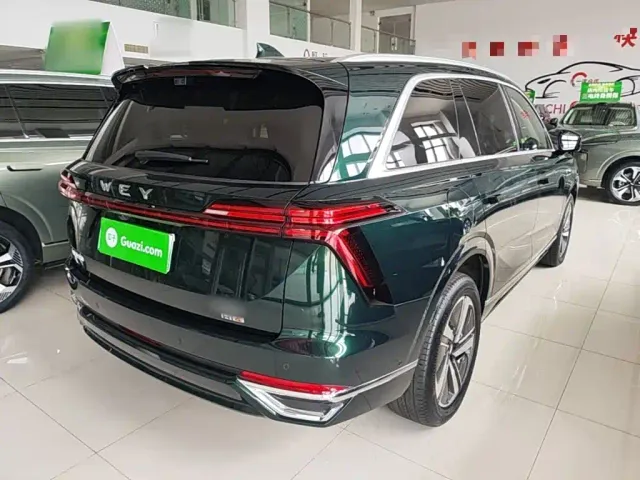 Wey Lanshan — Фото автомобиля 6