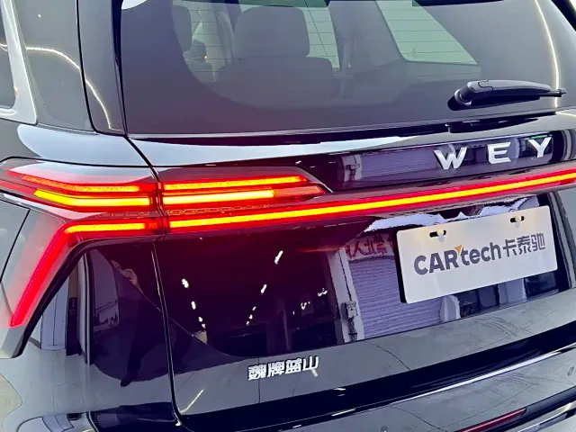 Wey Lanshan — Фото автомобиля 13