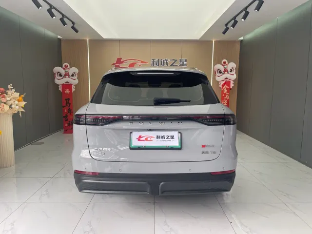 Chery Fulwin T9 — Фото автомобиля 10
