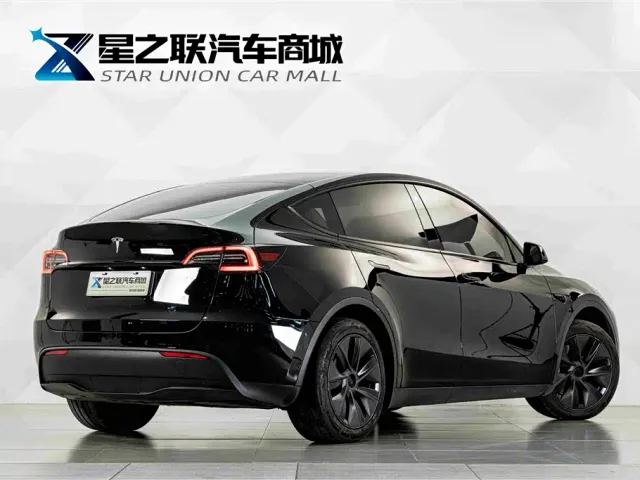Tesla Model Y — Фото автомобиля 6