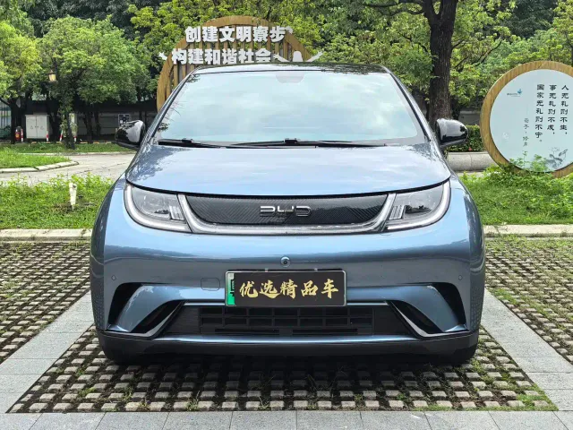 BYD Dolphin — Фото автомобиля 2