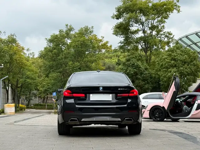 BMW 5 Series — Фото автомобиля 8
