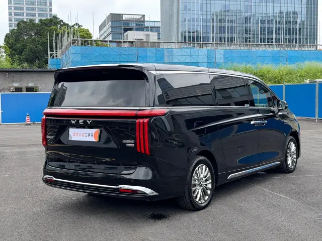 Wey Alpine — Фото автомобиля 16