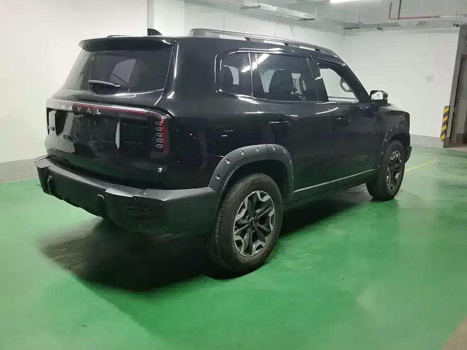 Haval Haval Big Dog 2024 2.0T DCT Chinese Rural Dog Edition — Фото автомобиля 3
