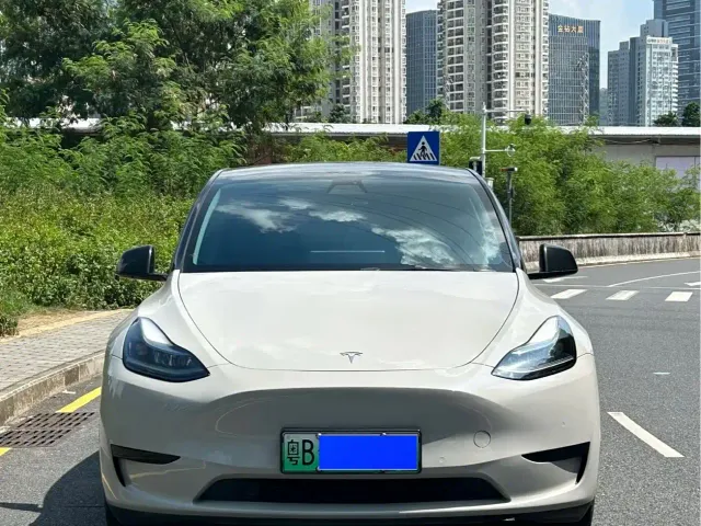 Tesla Model Y — Фото автомобиля 2