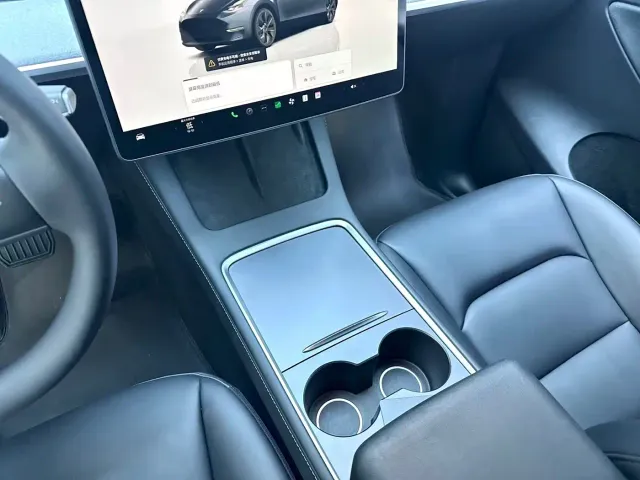 Tesla Model Y — Фото автомобиля 19