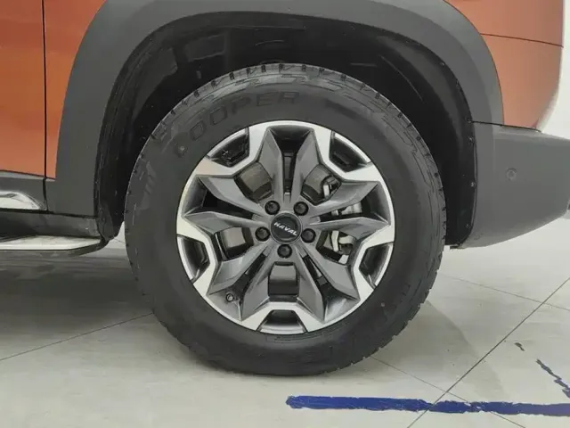 Haval Big Dog — Фото автомобиля 6