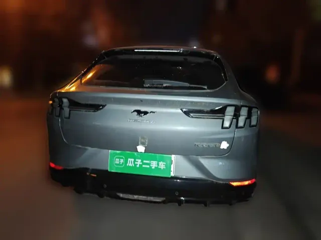 Ford Mustang Mach-E — Фото автомобиля 5