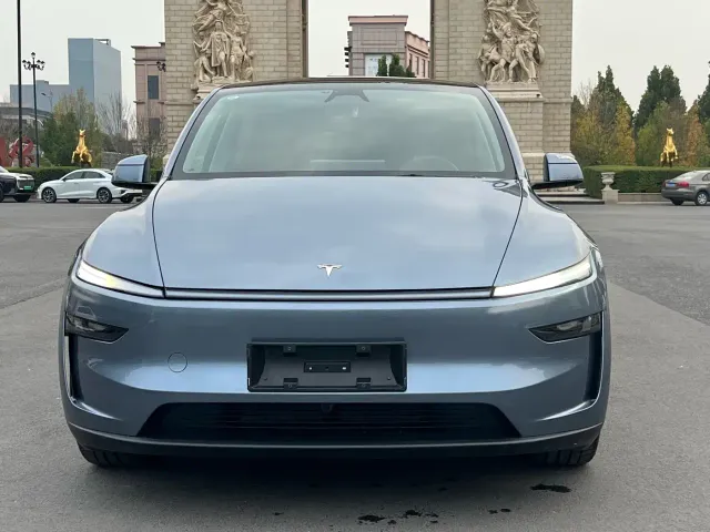 Tesla Model Y — Фото автомобиля 3