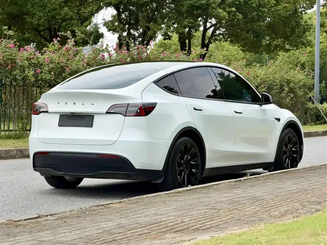 Tesla Model Y — Фото автомобиля 4