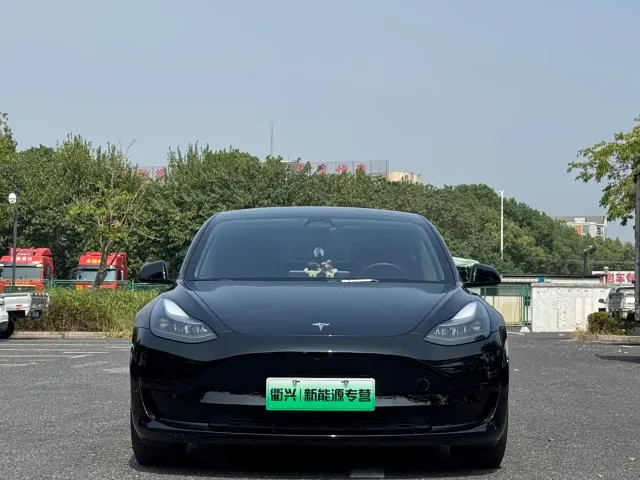 Tesla Model 3 2022 Model Rear-Wheel Drive Version — Фото автомобиля 2