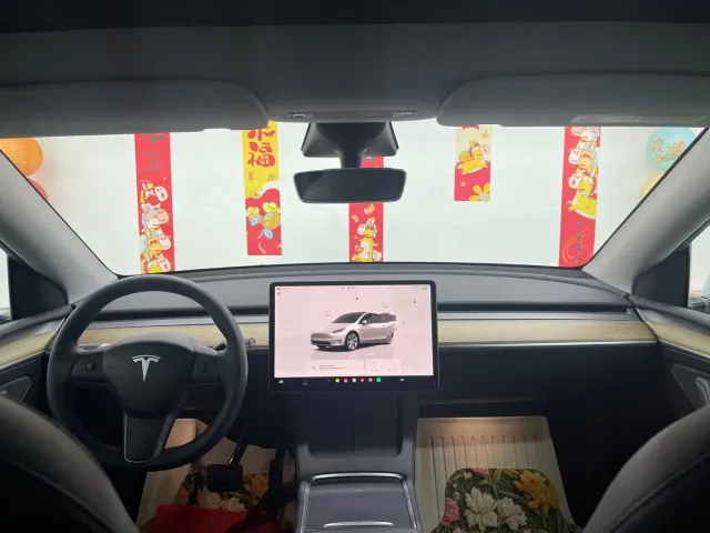 Tesla Model Y — Фото автомобиля 10