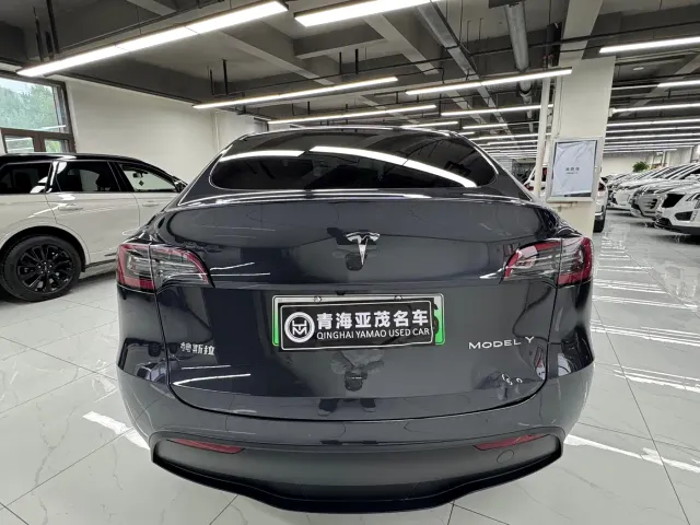 Tesla Model Y — Фото автомобиля 15