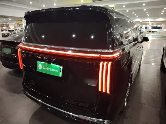 Wey Alpine — Фото автомобиля 6