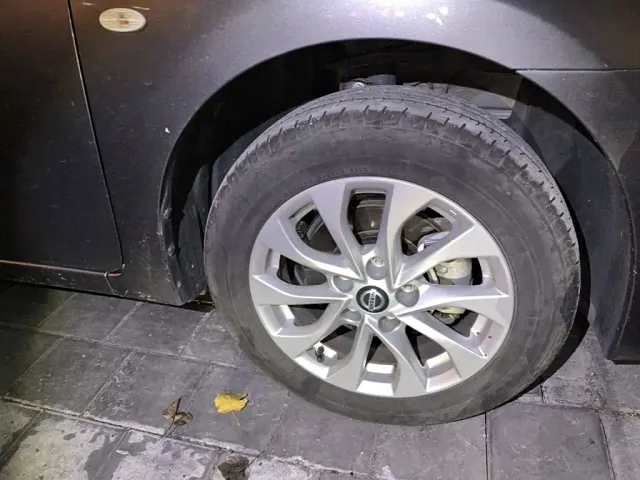 Nissan Sylphy — Фото автомобиля 8