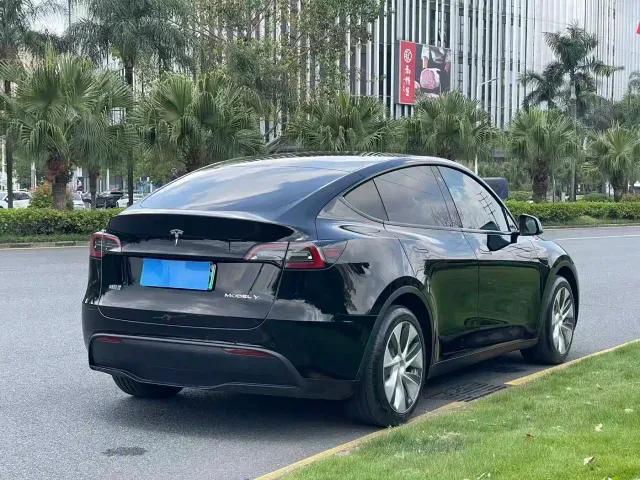 Tesla Model Y — Фото автомобиля 6