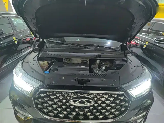 Chery Tiggo 8 PLUS 2021 290TGDI DCT Passion Edition — Фото автомобиля 19