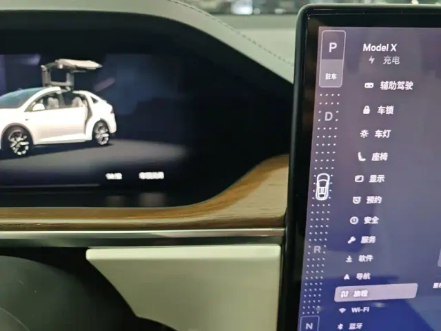Tesla Model X — Фото автомобиля 13