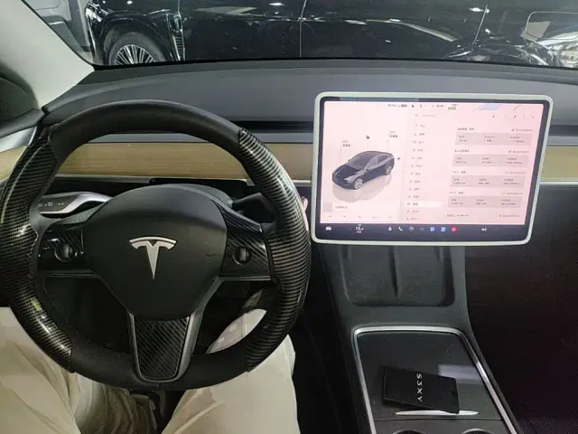Tesla Model Y — Фото автомобиля 9