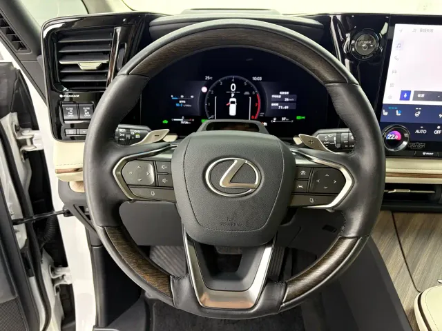 Lexus LM — Фото автомобиля 9