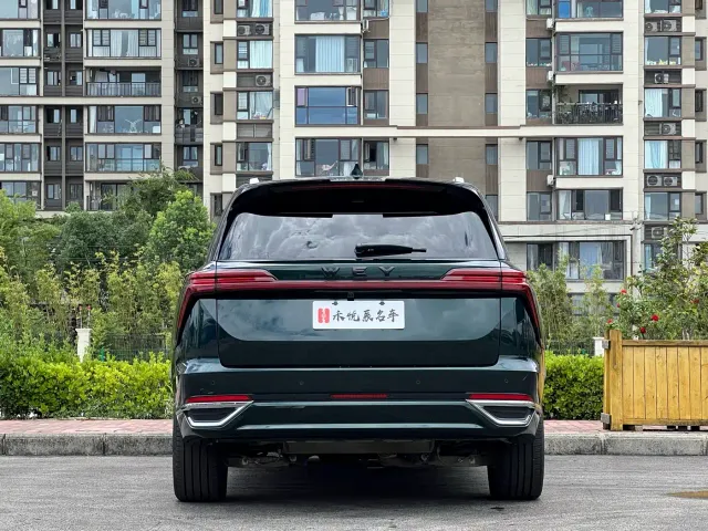 Wey Lanshan — Фото автомобиля 13
