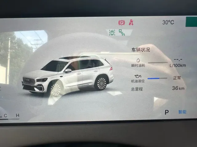 Geely Xingyue L — Фото автомобиля 14