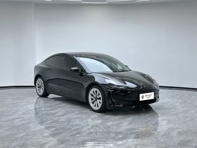 Tesla Model 3 2021 Facelift Standard Range RWD Upgrade 3D1 — Фото автомобиля 6