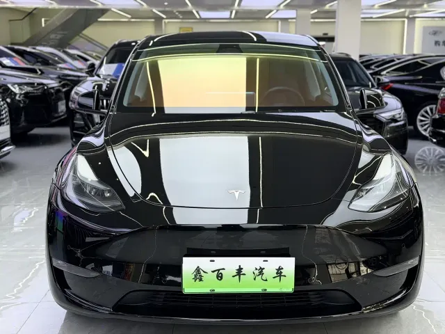 Tesla Model Y — Фото автомобиля 2