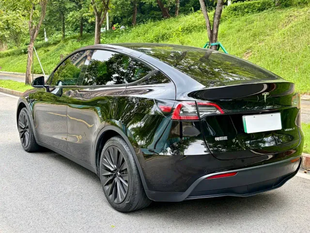 Tesla Model Y — Фото автомобиля 7